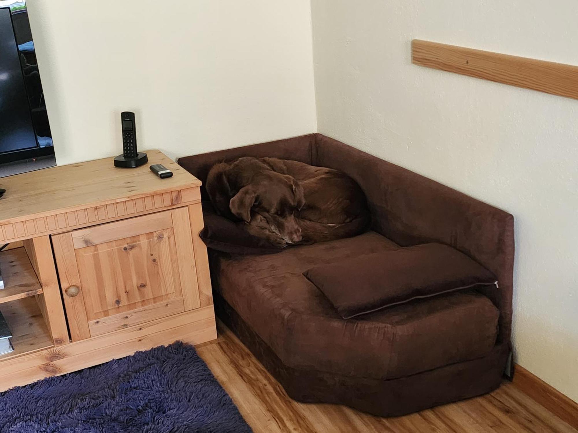 Ferienwohnung Baer Vohenstrauss Ngoại thất bức ảnh